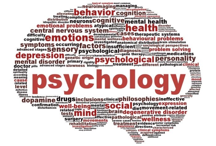 HP TET Psychology – Free